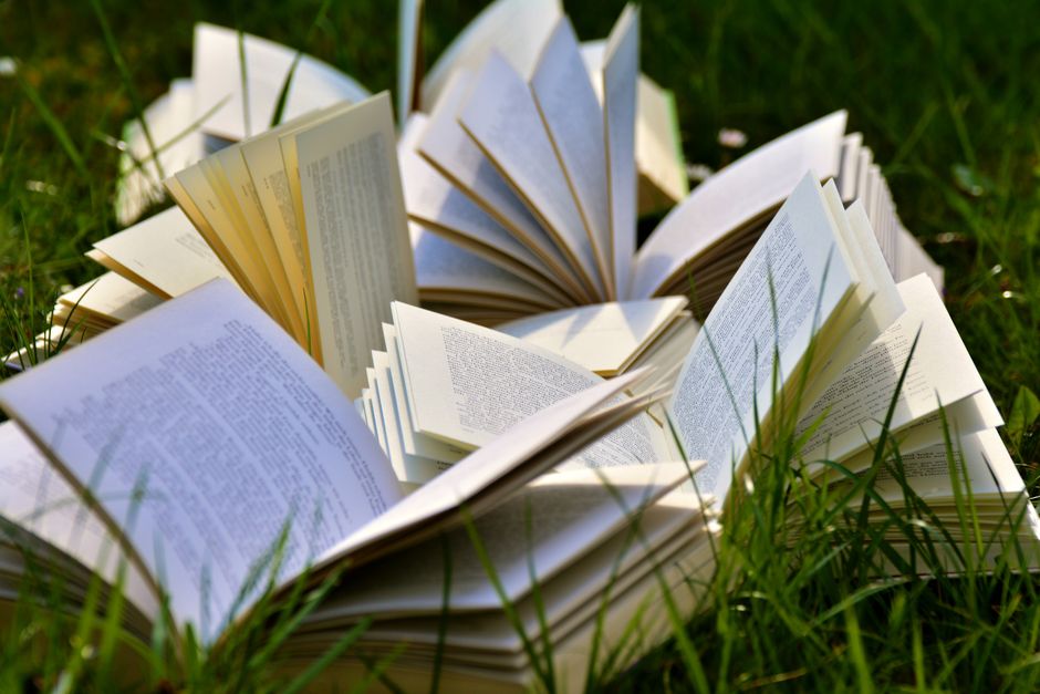 212 Book Quotes And Impressive Captions For Instagram