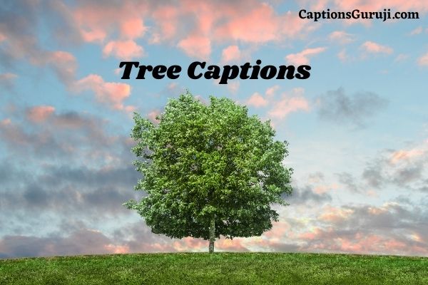 Tree Captions