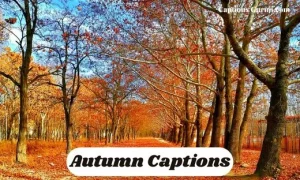 Autumn Captions