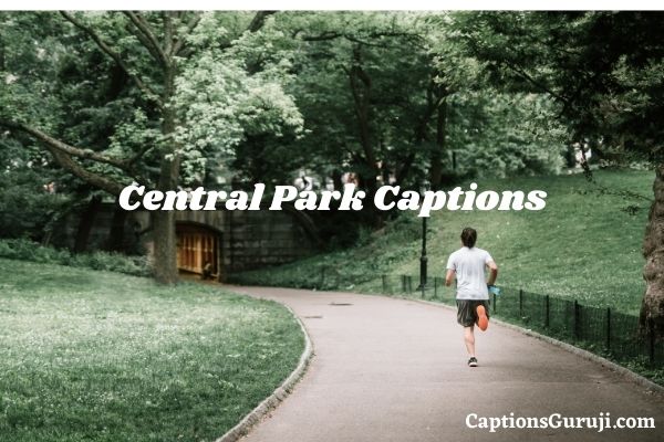 Central Park Captions