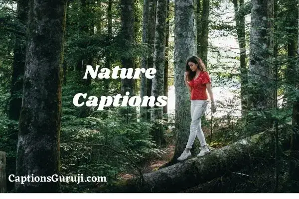436 Nature Captions And Es For, Landscape Photography Captions For Instagram