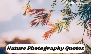 Nature Photography Quotes