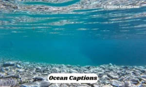 Ocean Captions