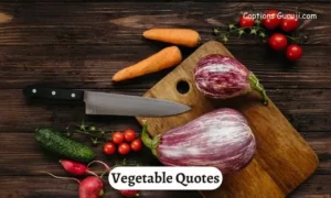 Vegetable Quotes