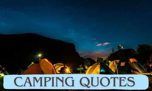 Camping Quotes