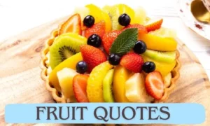 Fruit Quotes