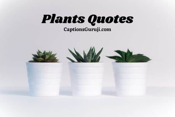 Plants Quotes