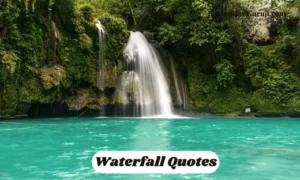 Waterfall Quotes