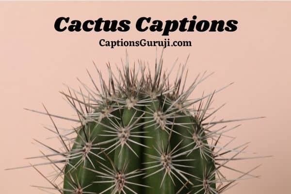 Cactus Captions