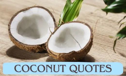 Coconut Quotes