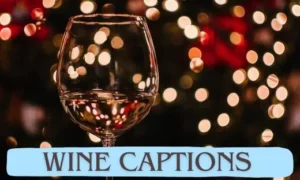 Wine Captions