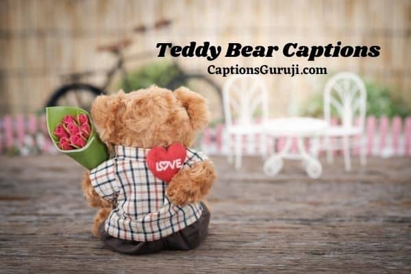 215 Teddy Bear Captions & Quotes For Instagram Cute, Cool, Funny
