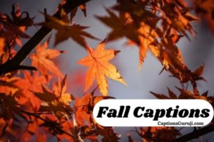 Fall Captions