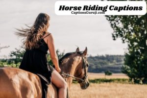 Horse Riding Captions And Quotes