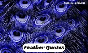 Feather Quotes