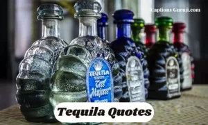 Tequila Quotes