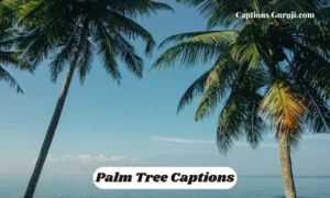 Palm Tree Captions
